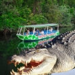 The Crocodile Express