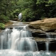 Buderim Forest Park and Falls