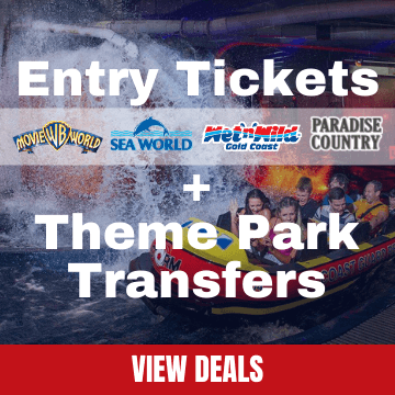 Theme Park Tickets and Theme Park Transfers