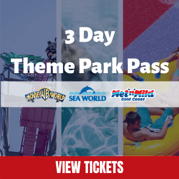3 Day Theme Park Pass