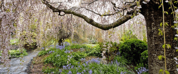 Blue Mountains Botanic Garden