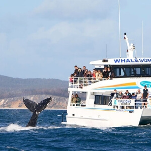 Hervey Bay