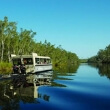 Noosa Everglades Wilderness Cruise