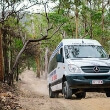 Tamborine Mountain 4WD Ecotour