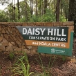 Daisy Hill Koala Centre