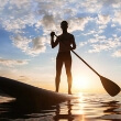 Noosa Stand Up Paddle