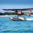 Paradise Seaplanes