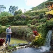 Maleny Botanic Gardens