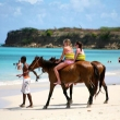 Noosa Horse Riding