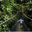 Tamborine Rainforest Skywalk