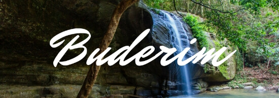 buderim Banner