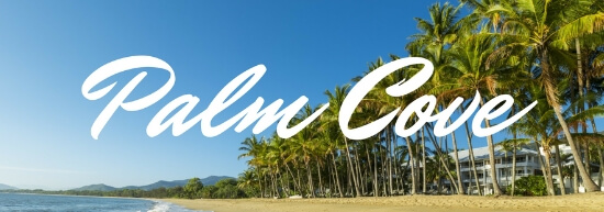 palm cove Banner