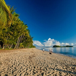 palmcove