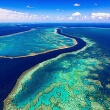 The Great Barrier Reef