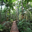 Cairns Botanic Gardens