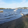 Noosa River