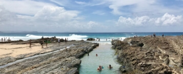 snapper-rocks