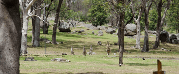 Woodlands Historic Park