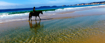 Horse ride at the beach