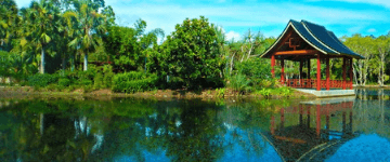 Cairns Botanic Gardens