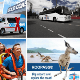 Roopass