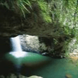 Springbrook National Park