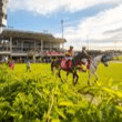 Sunshine Coast Turf Club