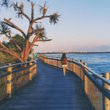 Mooloolaba Coastal Walks