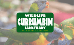 Currumbin Wildlife Sanctuary Theme Park Transfers
