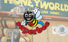 Superbee Honeyworld Theme Park Transfers