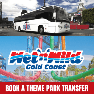 Wet n Wild Theme Park Transfer