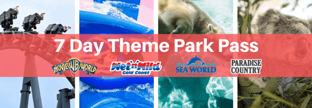 7 Day Theme Park Pass