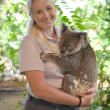 Koala Nursery Experience at Currumbin Wildlife Sanctuary